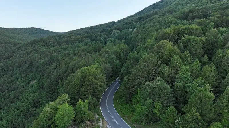 A road through dense forest on Mount Vermio