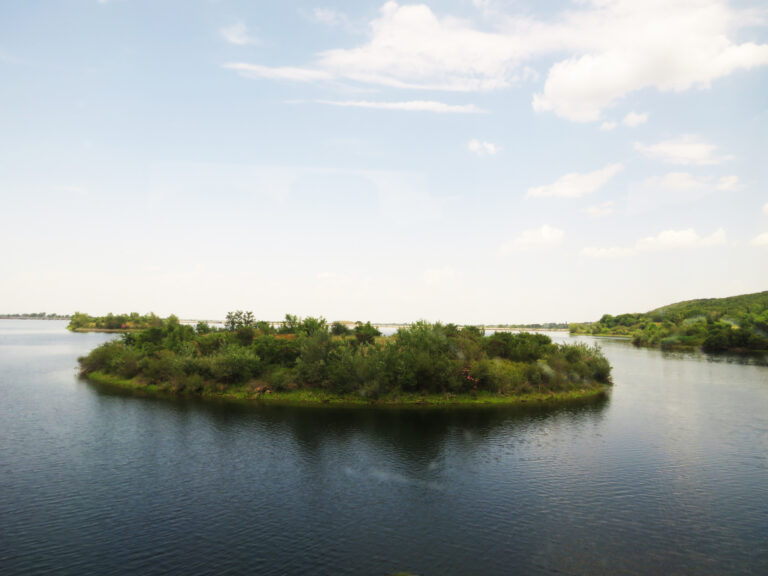 Aliakmonas River Dam and Pine Forest