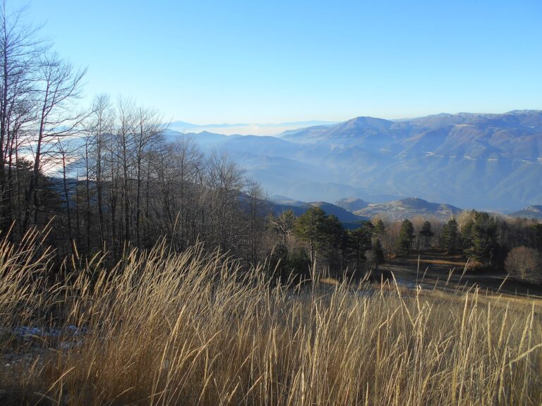 Pierian Mountains Trail